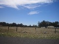 KANGAROO FLAT SUBDIVISION POTENTIAL Picture