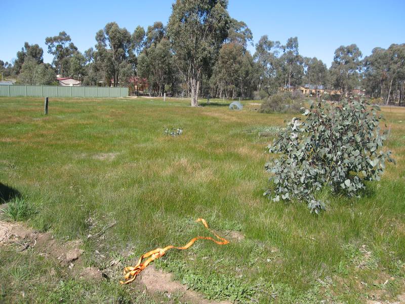 FANTASTIC BUILDING BLOCKS IN JUNORTOUN Picture 2