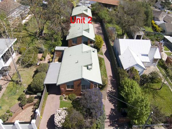 IMMACULATE UNIT Picture