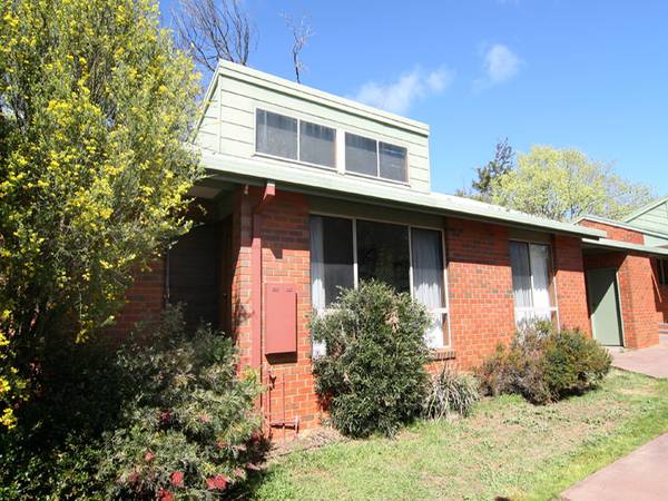 IMMACULATE UNIT Picture