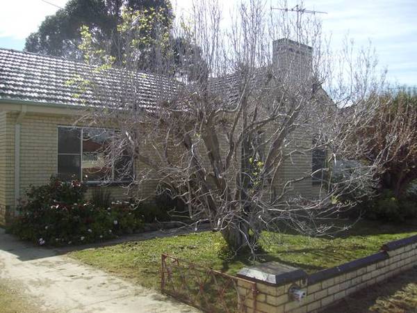 LOTS OF ROOM FOR THE FAMILY Picture 1