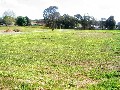 STRATHDALE'S CHEAPEST LAND !!! Picture STRATHDALE'S CHEAPEST LAND !!! Picture