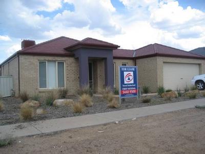 Popular Acacia Park Picture Popular Acacia Park Picture