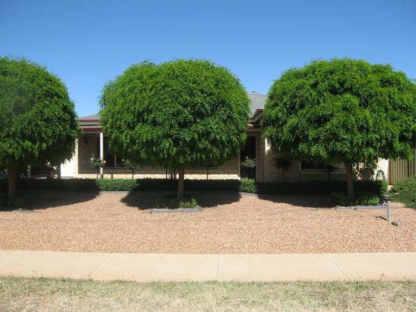 BEHIND THE MOP TOPS Picture 3