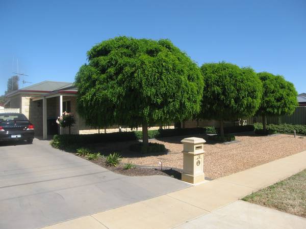 BEHIND THE MOP TOPS Picture 2