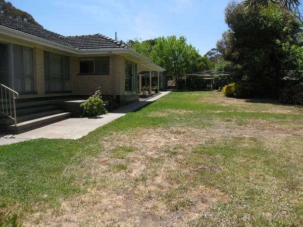 RARE OPPORTUNITY Picture