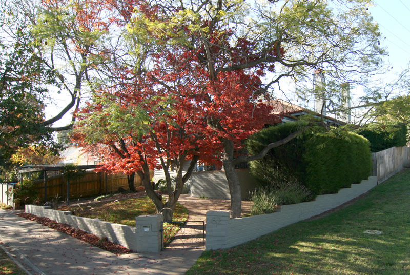 SENSATIONAL INNER CITY PROPERTY Picture