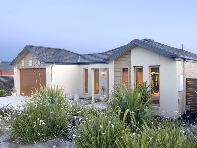 PRESENTATION PLUS Picture