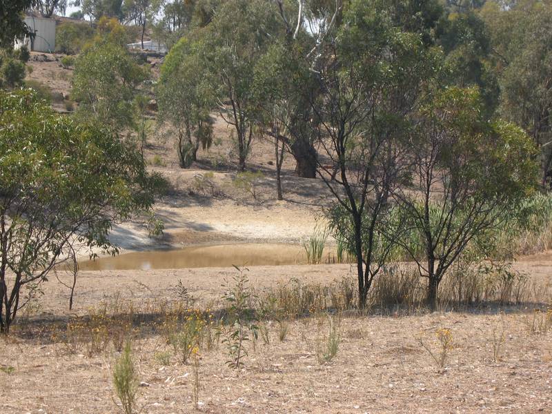 HIDDEN TREASURE Picture 3