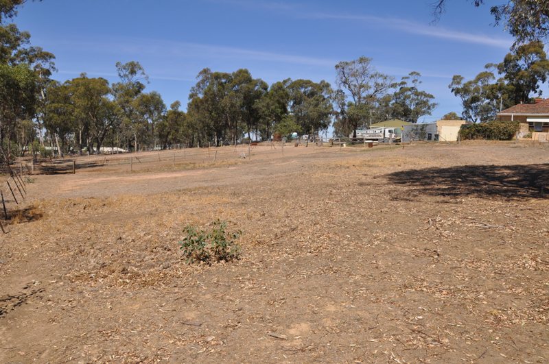 DEVELOPMENT SITE Picture 1