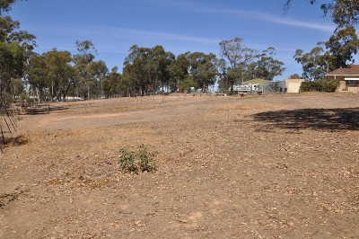 DEVELOPMENT SITE Picture