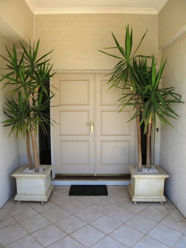 MORE THAN MEETS THE EYE! Picture 2