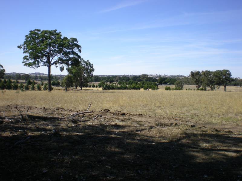 ELPHINSTONE LAND Picture 2