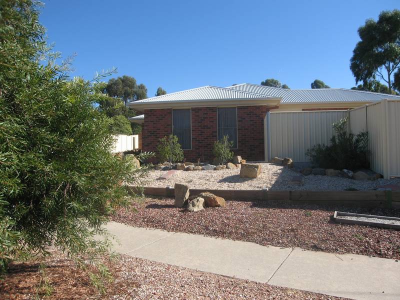 A STANDOUT FROM THE CROWD! Picture