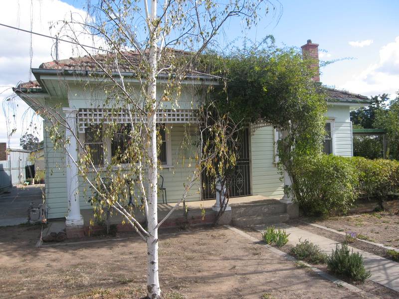 CALIFORNIA DREAMING Picture 2