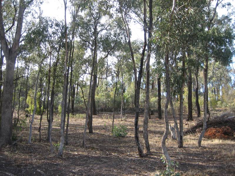 PRIME STRATHDALE LAND Picture 2