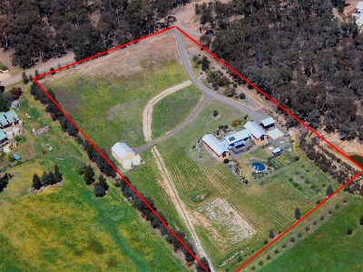 WHEN ONLY THE BEST WILL DO Picture