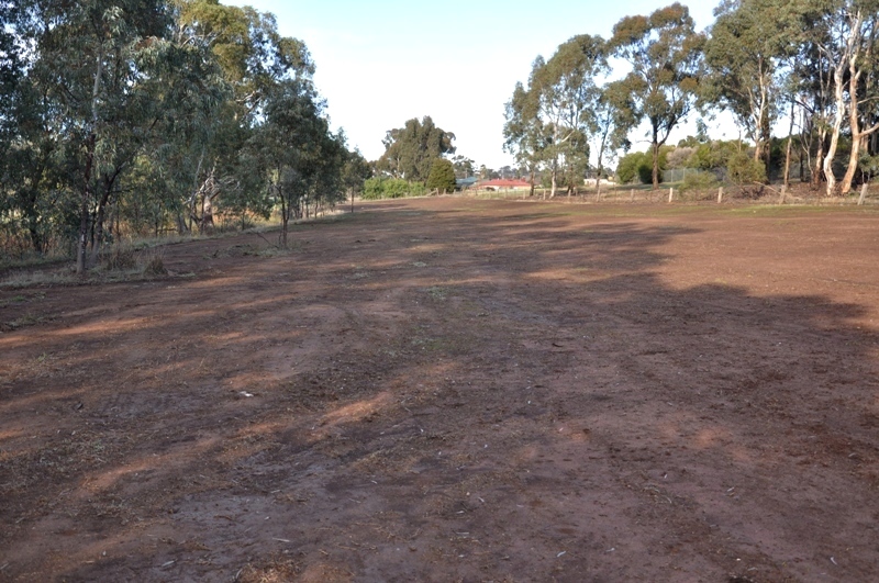 AFFORDABLE INDUSTRIAL ALLOTMENTS Picture 3