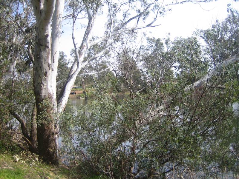 BRIDGEWATER LAND Picture 3