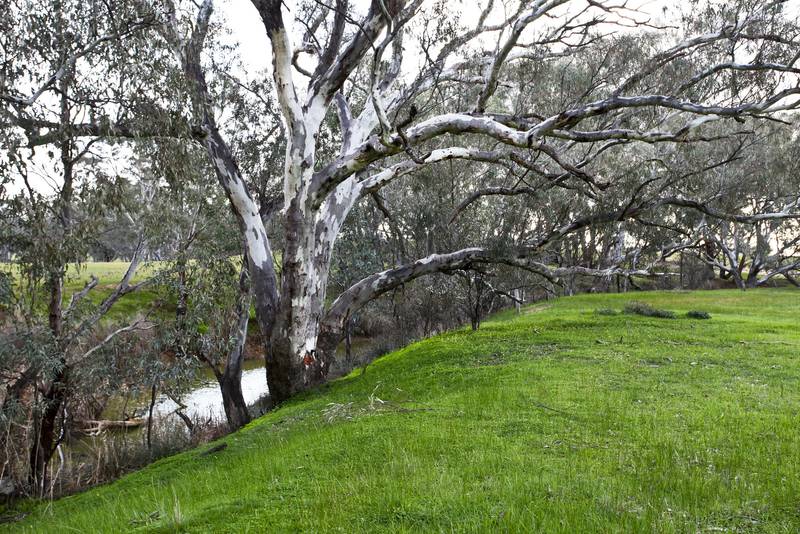 BUILD YOUR DREAM HOME Picture 1