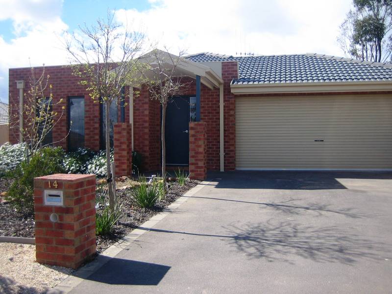 TOP NOTCH! Picture 1