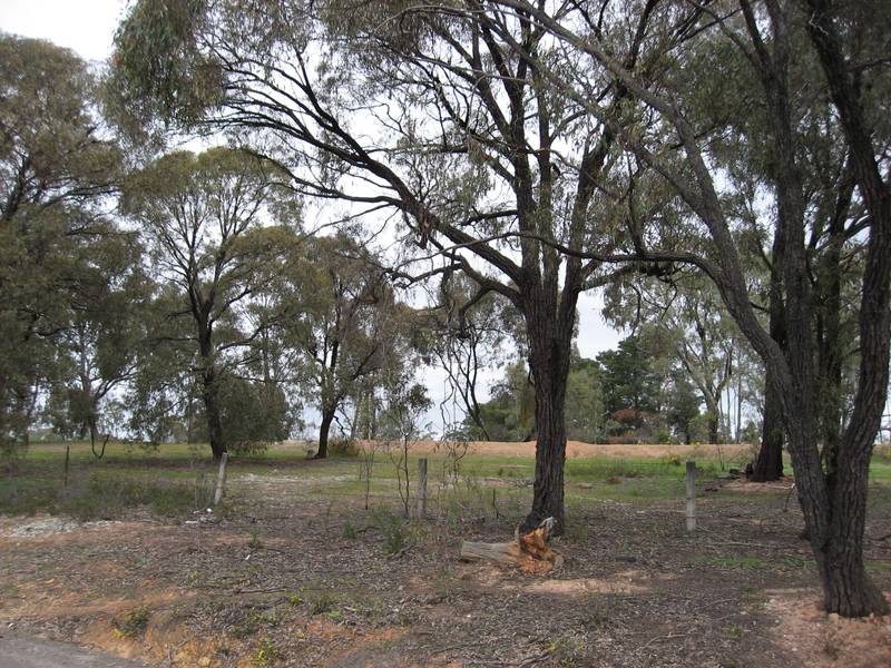 Kangaroo Flat Land Picture 1
