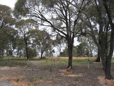 Kangaroo Flat Land Picture