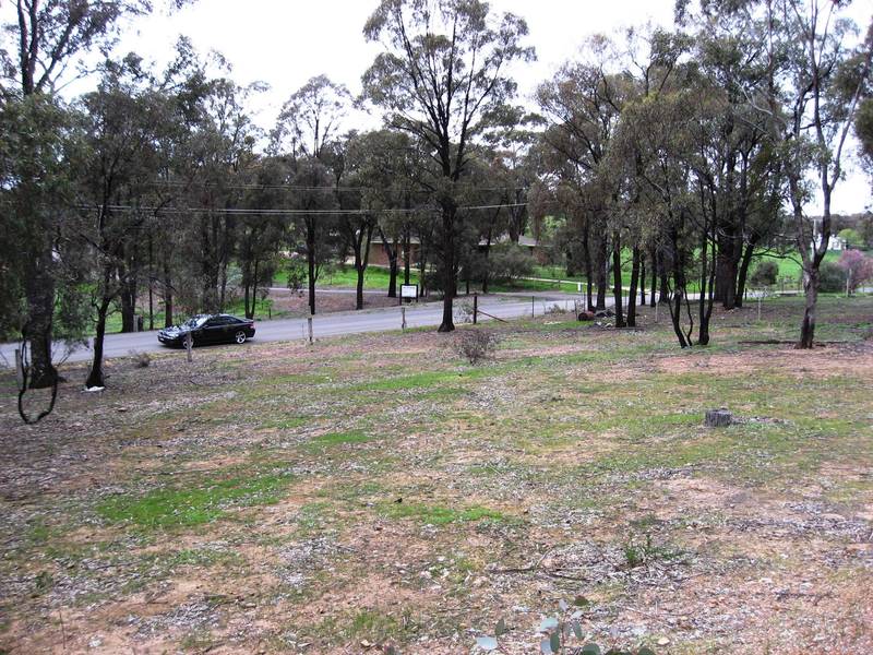 Kangaroo Flat Land Picture 2