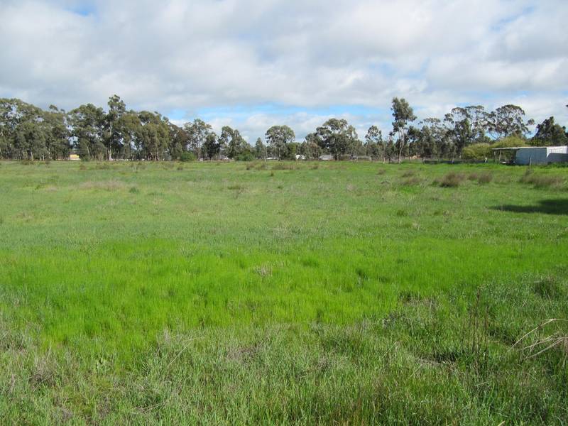 ESTATE FINALIZATION Picture 3