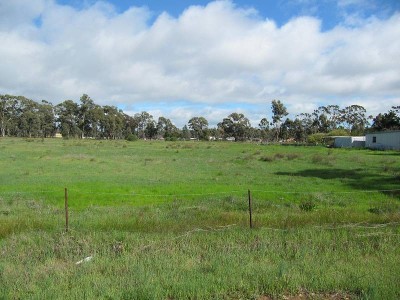 ESTATE FINALIZATION Picture ESTATE FINALIZATION Picture