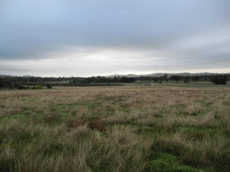 FANTASTIC LIFESTYLE BLOCK Picture 2