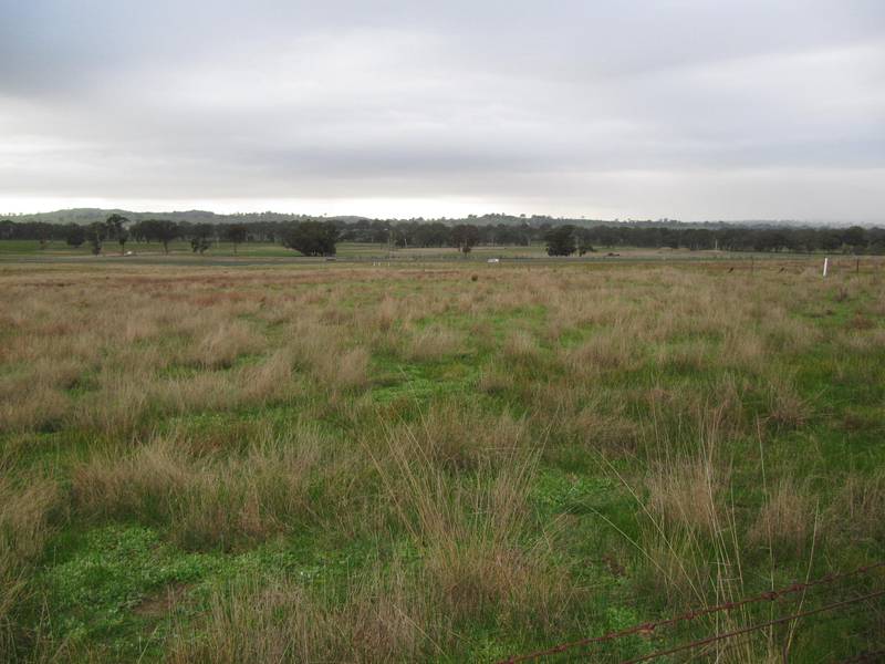 FANTASTIC LIFESTYLE BLOCK Picture 1