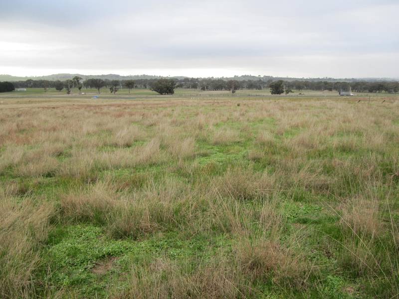 FANTASTIC LIFESTYLE BLOCK Picture 3