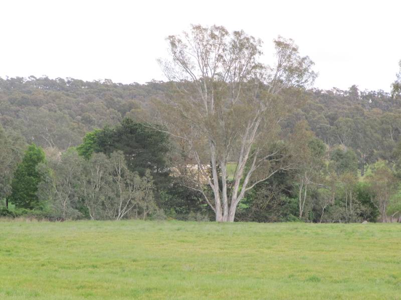 MANDURANG LAND Picture 2