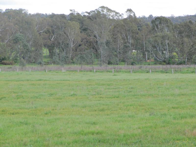 MANDURANG LAND Picture 3