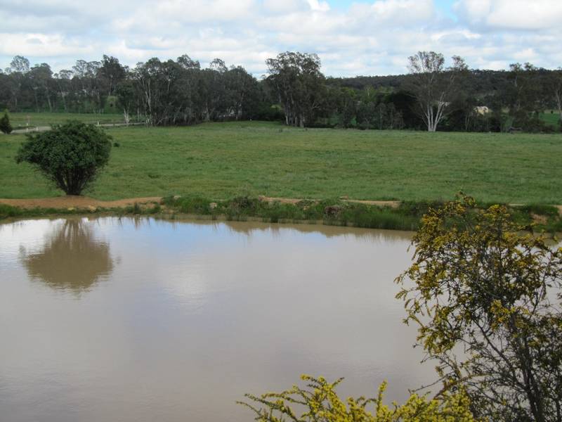 MANDURANG LAND Picture 1