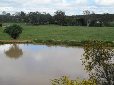 MANDURANG LAND Picture MANDURANG LAND Picture