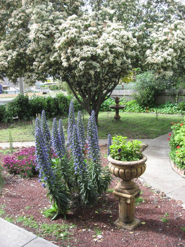 GREAT INVESTMENT Picture 2