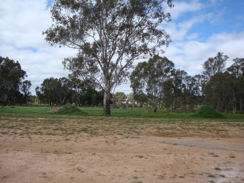 EPSOM LAND Picture 2