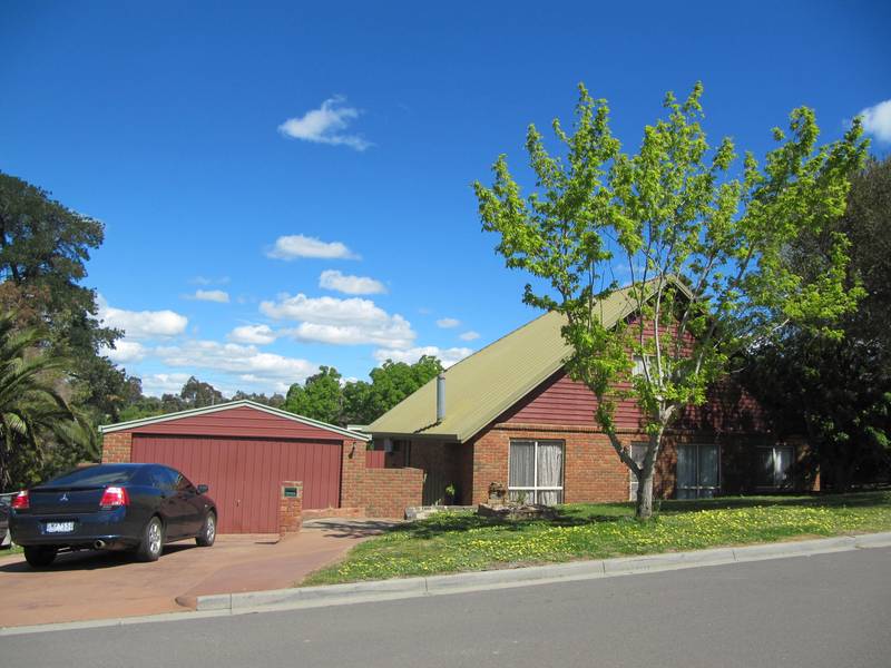 SOMETHING A LITTLE DIFFERENT! Picture 2