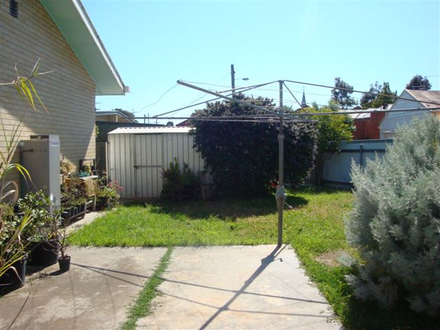 CENTRAL BENDIGO Picture 2