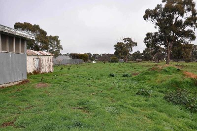 HIGH GROWTH ZONE Picture HIGH GROWTH ZONE Picture