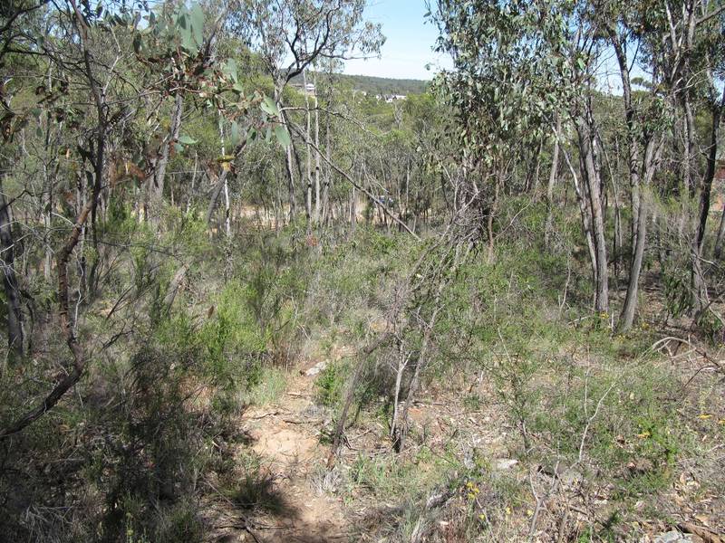 FANTASTIC LAND IN FLORA HILL Picture 3