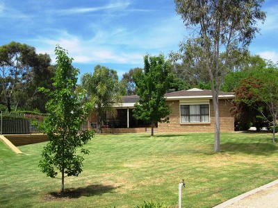 A TRUE STANDOUT Picture