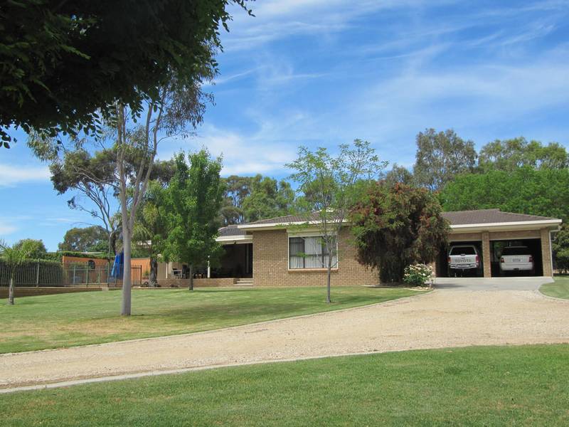 A TRUE STANDOUT Picture 2