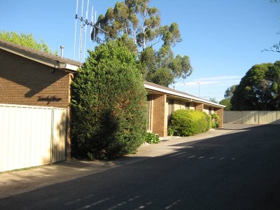 BUY ONE, BUY 2 OR GRAB ALL 3 Picture