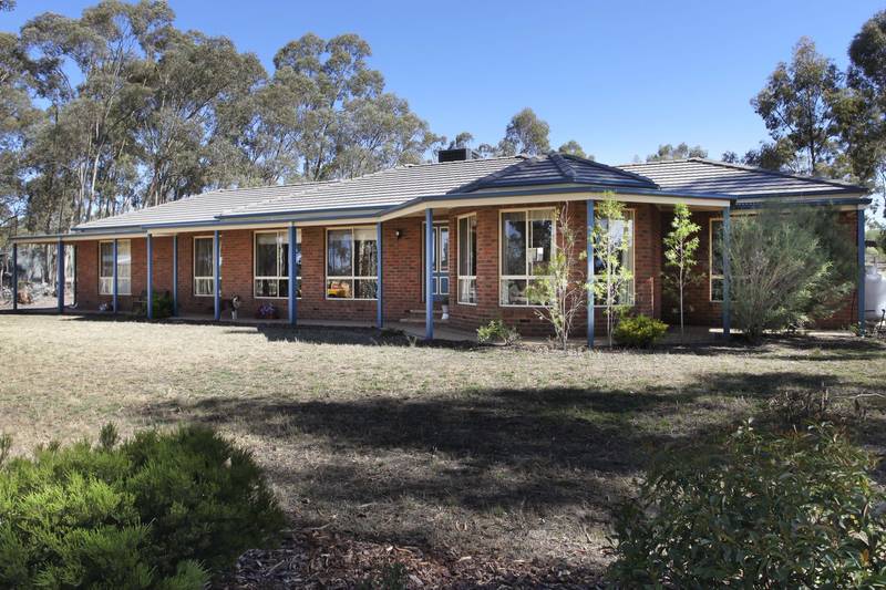 FAMILY LIVING ON LIFESTYLE BLOCK Picture 2