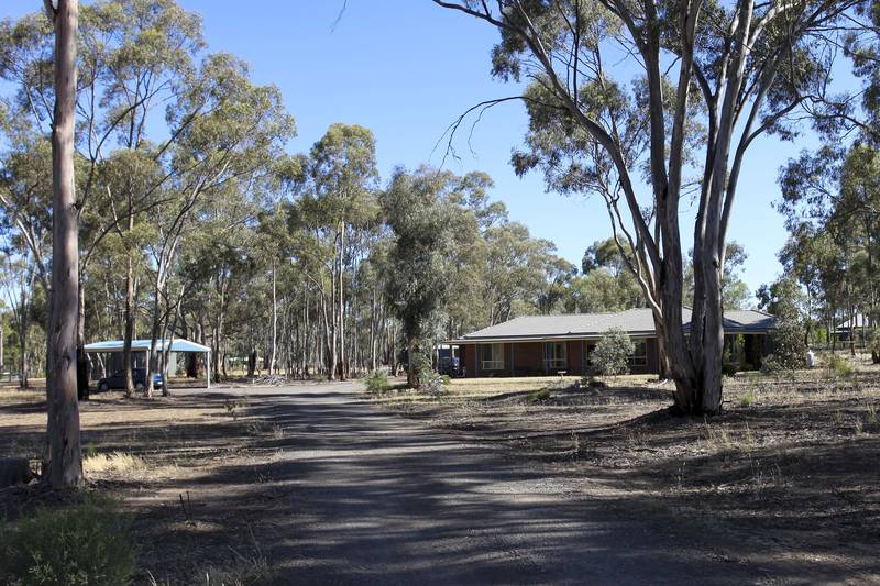 FAMILY LIVING ON LIFESTYLE BLOCK Picture 1