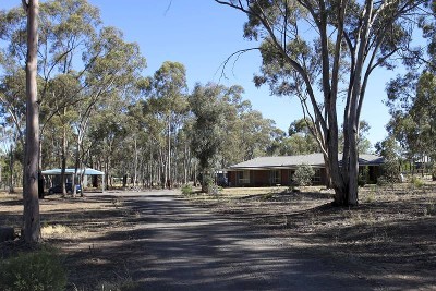 FAMILY LIVING ON LIFESTYLE BLOCK Picture FAMILY LIVING ON LIFESTYLE BLOCK Picture
