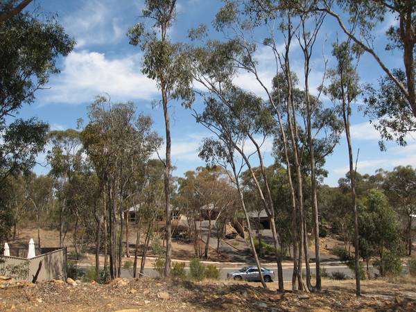 BENDIGO'S BEST BLOCK! Picture 2
